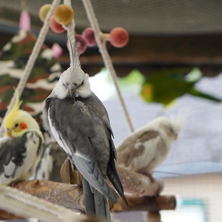 Maerchencamping Stuhr Buitenkant foto