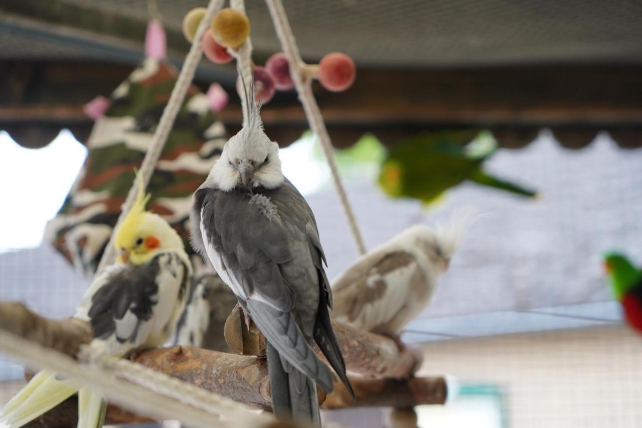 Maerchencamping Stuhr Buitenkant foto